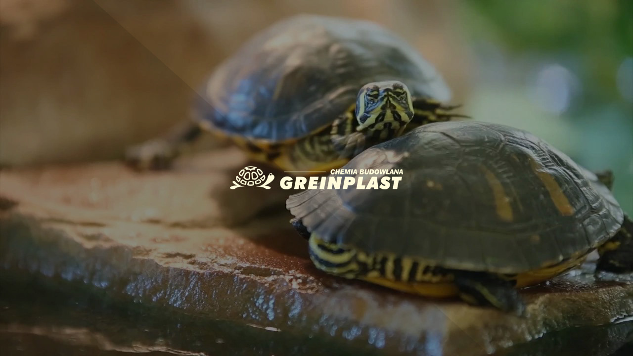 og-greinplast.jpg